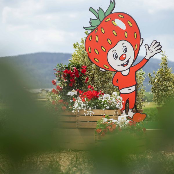 Erdbeer-Maskottchenfigur winkt im Garten neben bunten Blumen mit Berglandschaft im Hintergrund.
