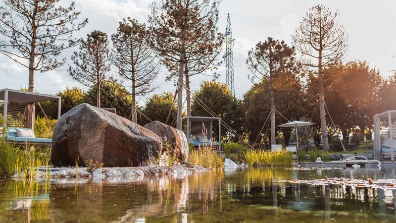 Naturpool mit großen Felsen, Schilf und Liegeplätzen im Gartenbereich.