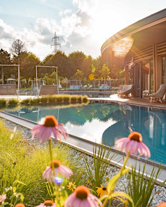 Naturpool mit Liegestühlen und Holzterrasse im Abendlicht, Blumen im Vordergrund.