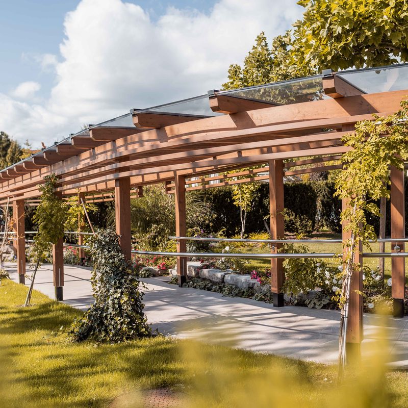 Überdachter Gehweg unter einer Holzpergola mit Glasdach in einer Gartenanlage.
