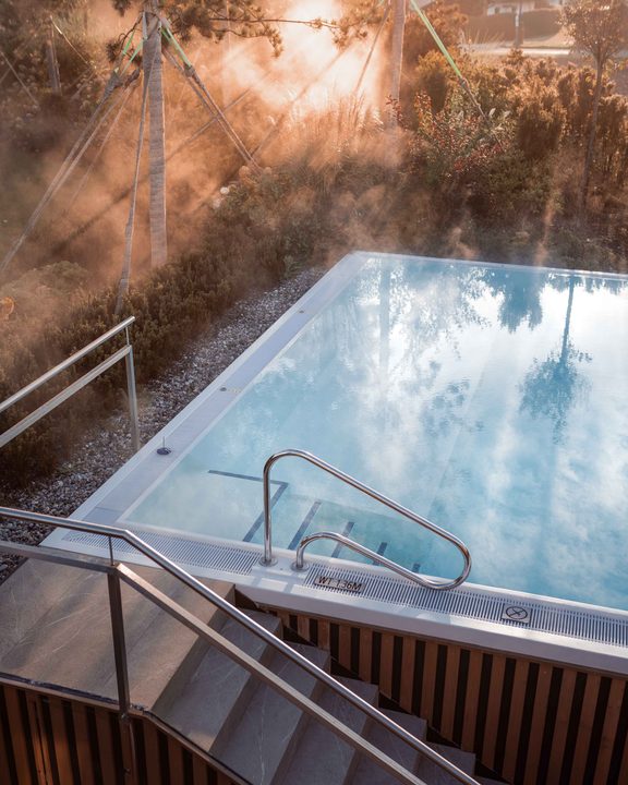 Outdoor pool with stainless-steel handrail, warm water steaming in morning light among garden plants.